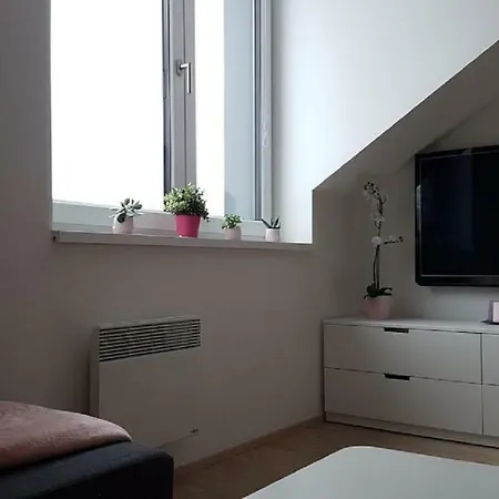 Appartement Apartmany Dolni Morava Dolní Morava