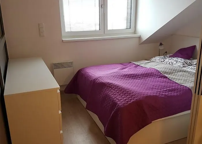 Апартаменты Apartmany Dolni Morava *