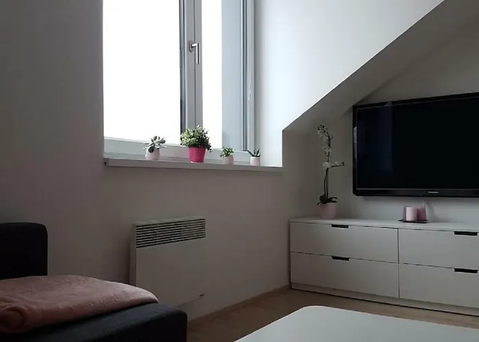 Διαμέρισμα Apartmany Dolni Morava Dolní Morava